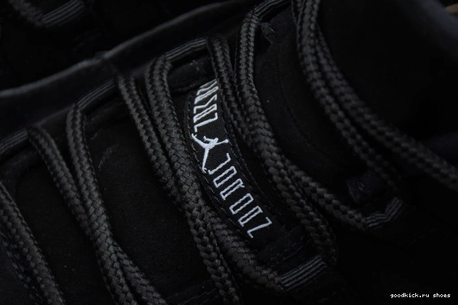 Low 11 Retro Air 
